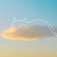 ptrichr profile picture